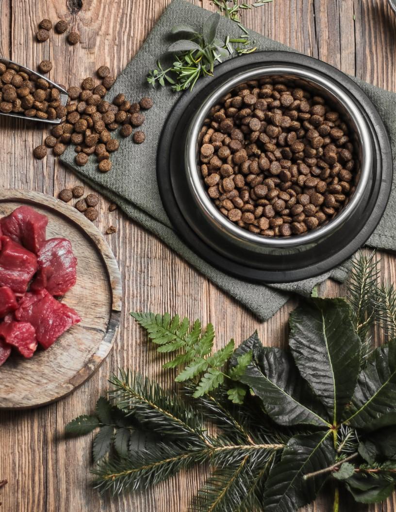 Plant Based Pet Food Market Analysis, Size, and Forecast 2025-2029: North America (US and Canada), Europe (France, Germany, Italy, Spain, Sweden, The Netherlands, and UK), Middle East and Africa (South Africa and UAE), APAC (Australia), South America (Brazil), and Rest of World (ROW)