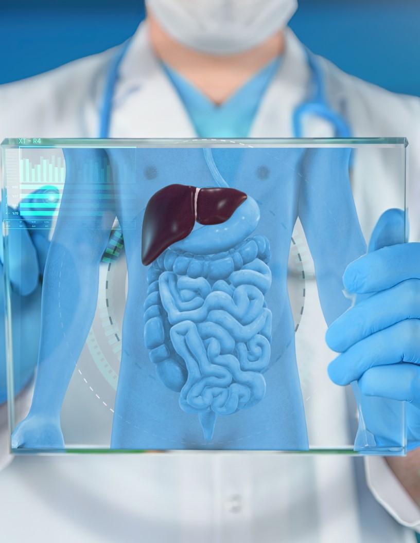 Gastrointestinal Products Market Analysis North America, Asia, Europe, Rest of World (ROW) - US, Germany, China, Japan, UK, France, Canada, Italy, South Korea, India - Size and Forecast 2025-2029