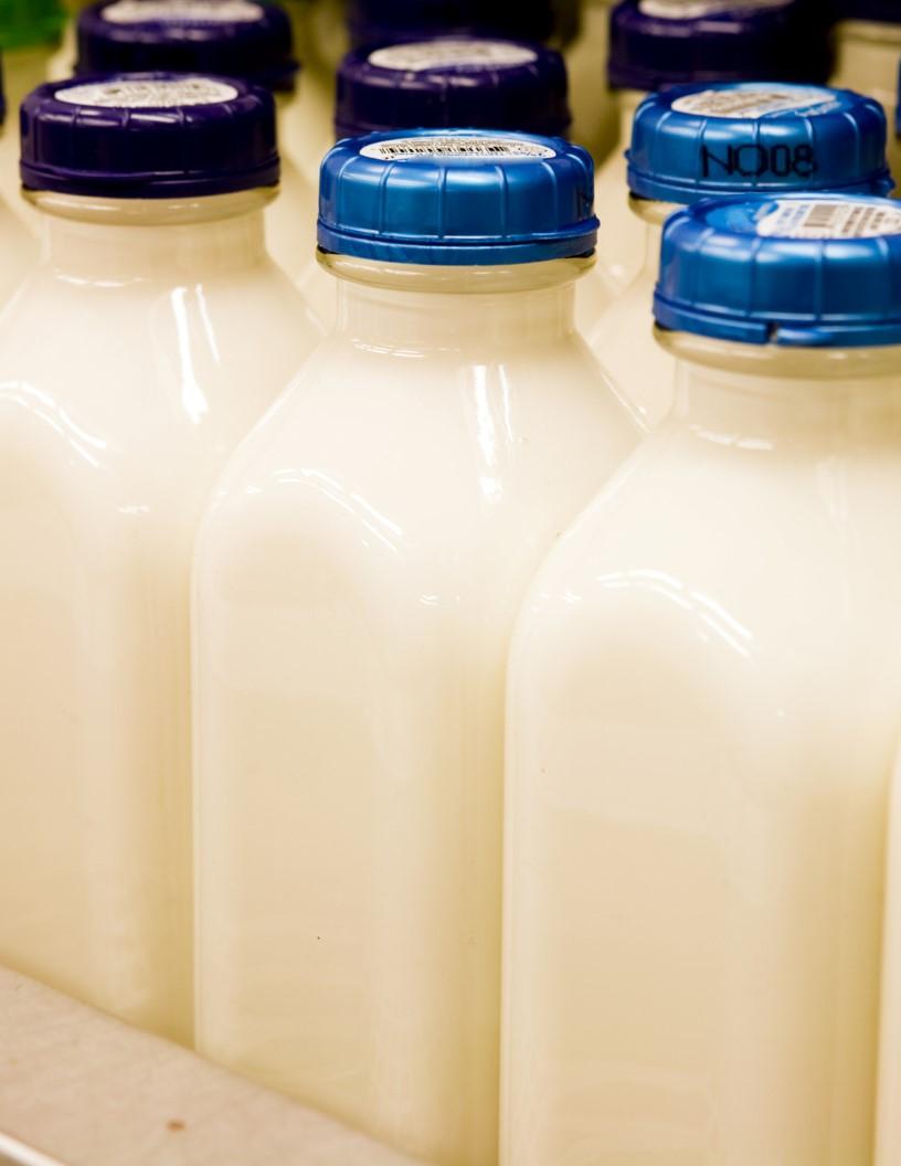Whole Fresh Buffalo Milk Market Analysis APAC, Middle East and Africa, Europe, North America, South America - India, Pakistan, China, US, Egypt, Italy, Turkey, Bangladesh, Brazil, Russia - Size and Forecast 2025-2029