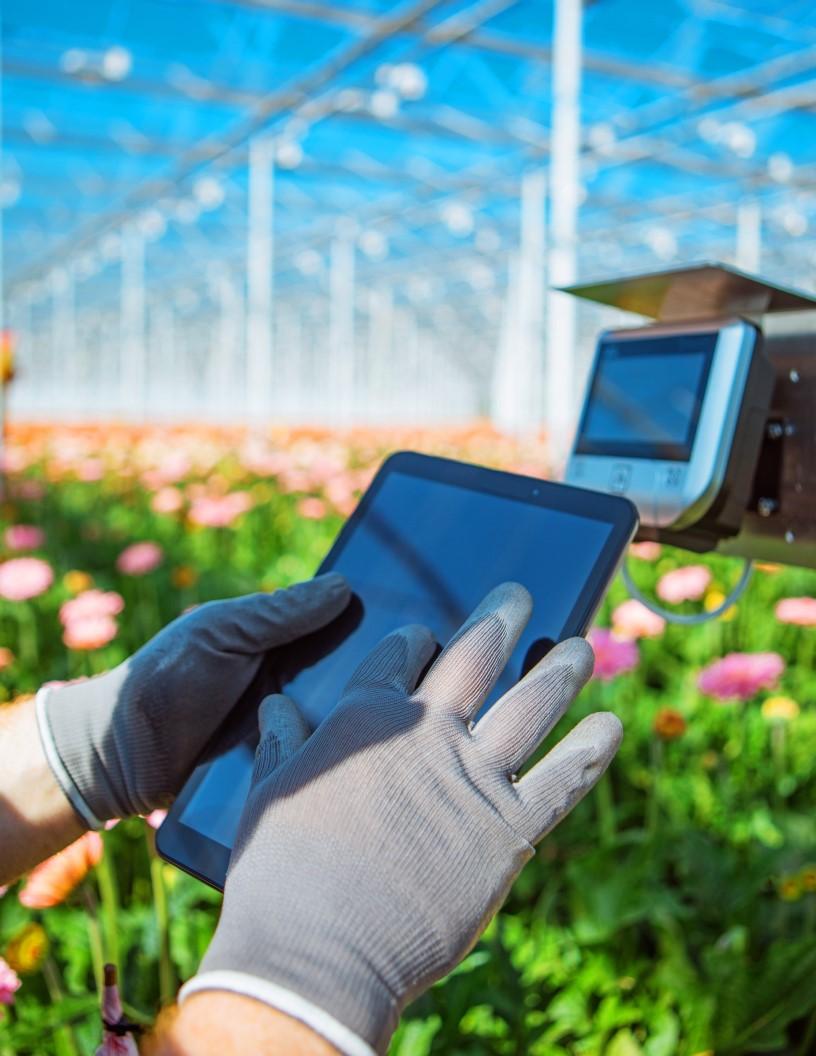 Soil Monitoring Market Analysis, Size, and Forecast 2025-2029: North America (Mexico), Europe (France, Germany, Italy, Spain, and UK), Middle East and Africa (UAE), APAC (Australia, China, India, Japan, and South Korea), South America (Brazil), and Rest of World (ROW)