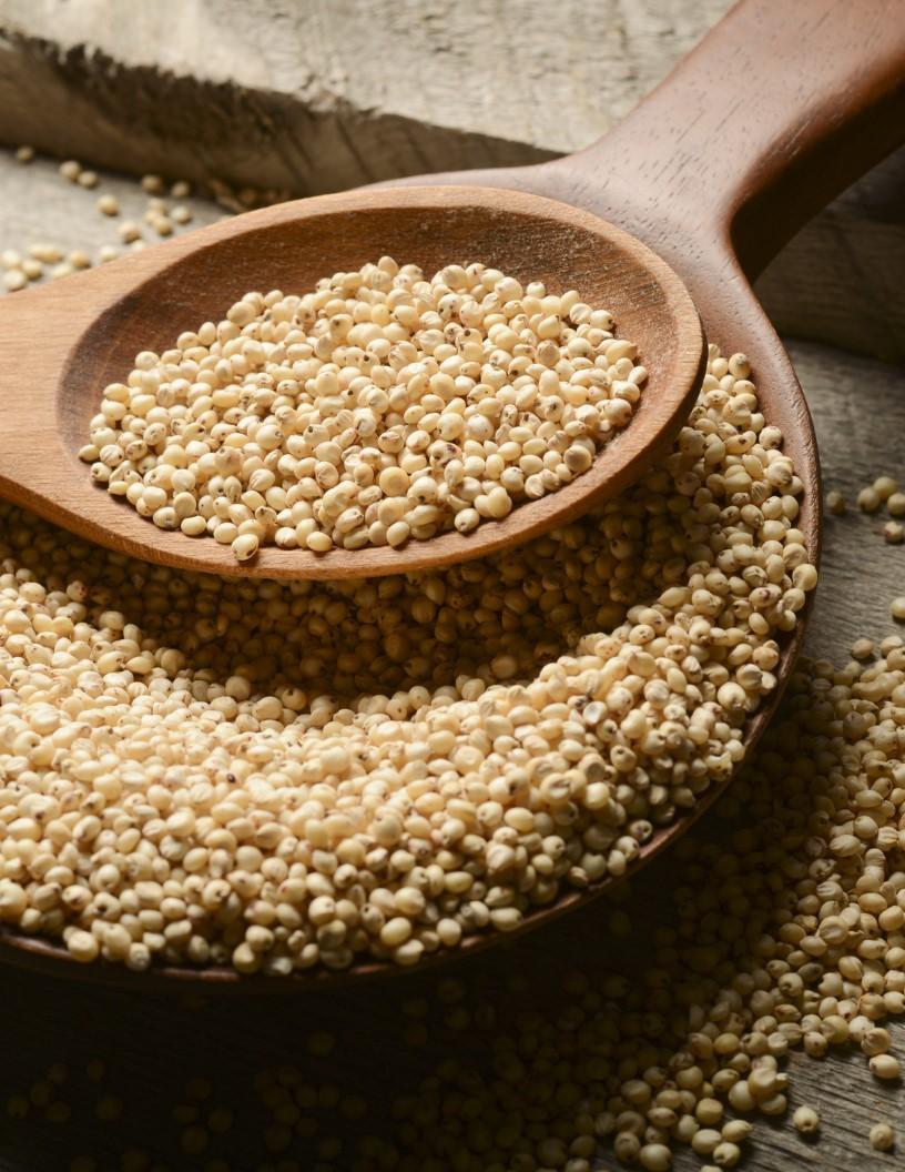 Sorghum Market Analysis, Size, and Forecast 2025-2029: Middle East and Africa (Ethiopia), APAC (China, India), North America (US, Mexico), South America (Argentina and Brazil), and Europe