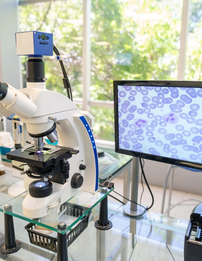 Optical Imaging Technologies Market Analysis, Size, and Forecast 2025-2029: North America (US and Canada), Europe (France, Germany, UK), Middle East and Africa , APAC , South America , and Rest of World (ROW)