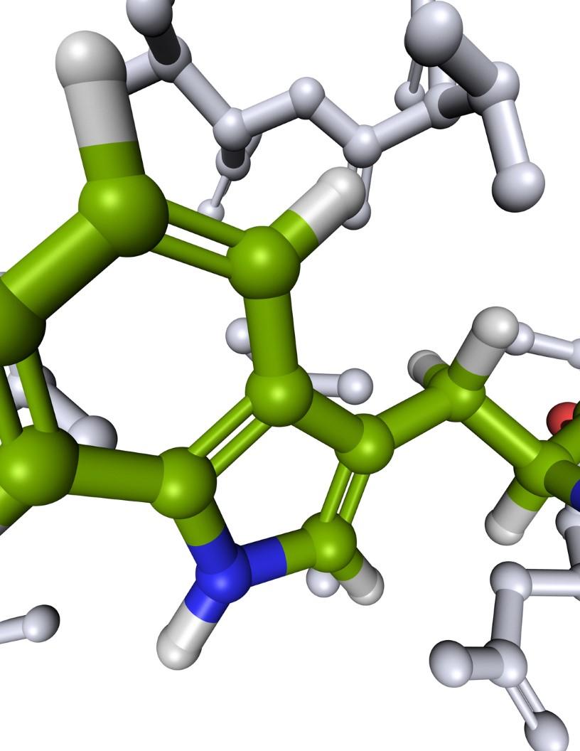 Peptide Synthesis Market Analysis, Size, and Forecast 2025-2029: North America (US and Canada), Europe (France, Germany, and UK), APAC (Australia, China, India, Japan, and South Korea), and Rest of World (ROW)