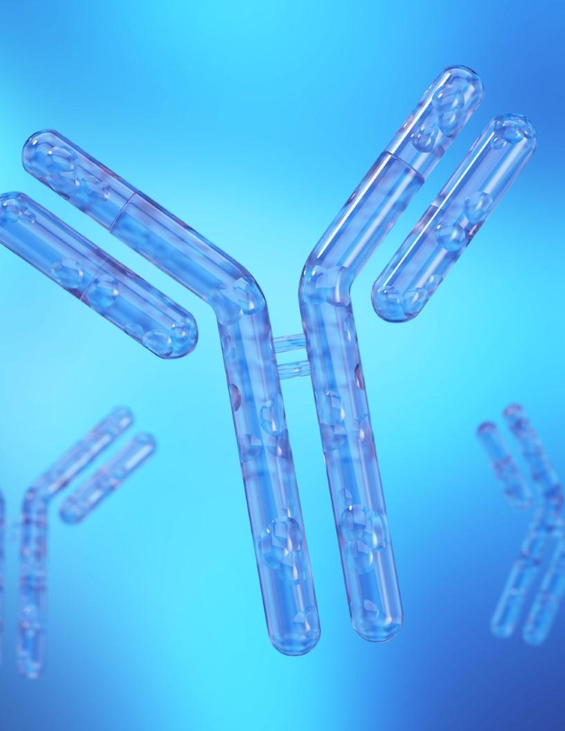 Antibody Market Analysis, Size, and Forecast 2025-2029: North America (US and Canada), Europe (France, Germany, and UK), APAC (Australia, China, India, Japan, and South Korea), and Rest of World (ROW)