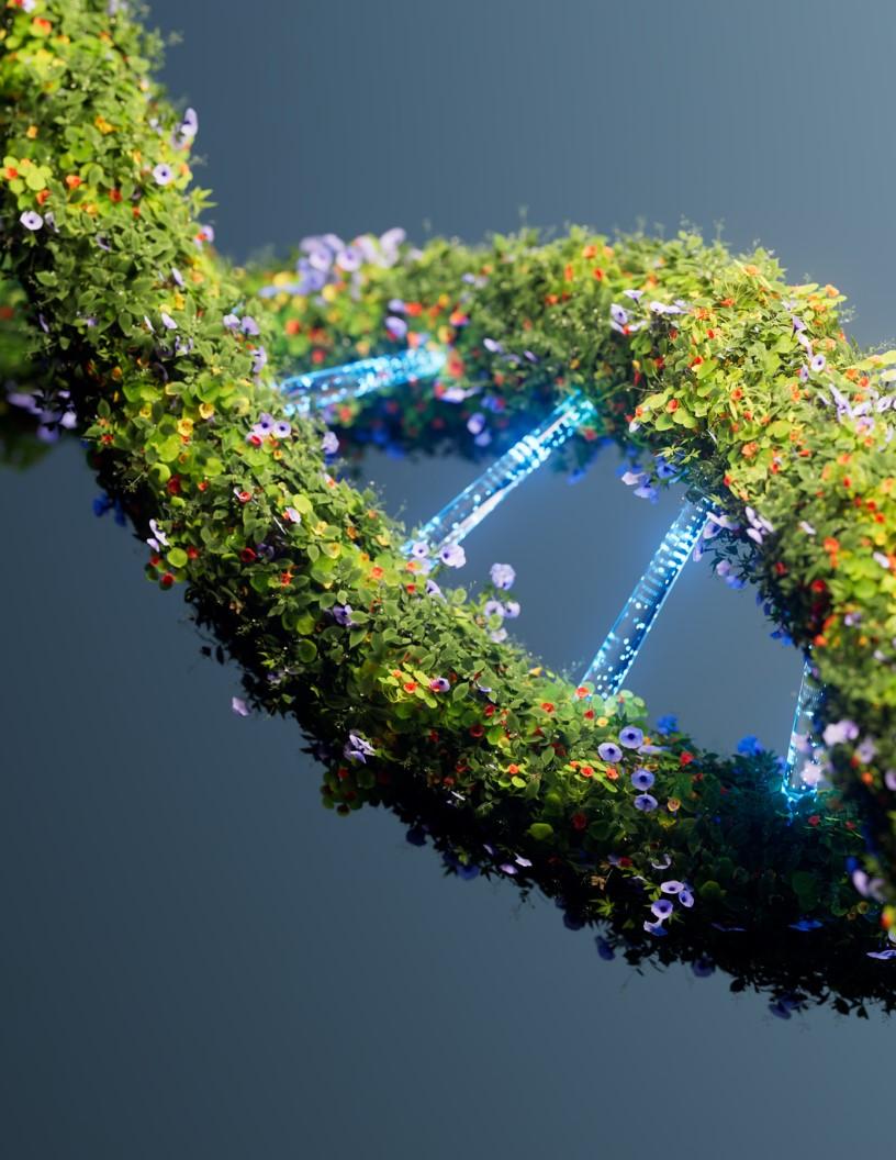 Sustainable AI Market Analysis, Size, and Forecast 2025-2029: North America (US, Canada, and Mexico), Europe (France, Germany, The Netherlands, and UK), APAC (China, India, and Japan), and Rest of World (ROW)