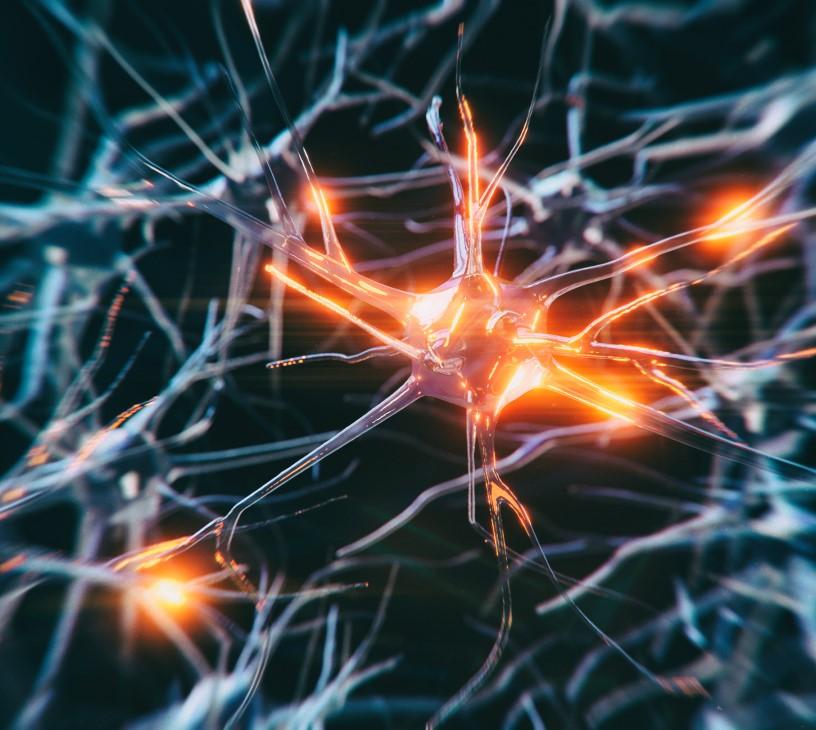 AI In Pathology Market Analysis, Size, and Forecast 2025-2029: North America (US and Canada), Europe (France, Germany, and UK), APAC (China, India, Japan, and South Korea), South America (Brazil), and Rest of World (ROW)