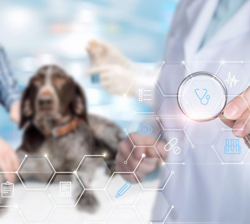 AI In Animal Health Market Analysis, Size, and Forecast 2025-2029: North America (US and Canada), Europe (France, Germany, and UK), APAC (China, India, Japan, and South Korea), South America (Brazil), and Rest of World (ROW)