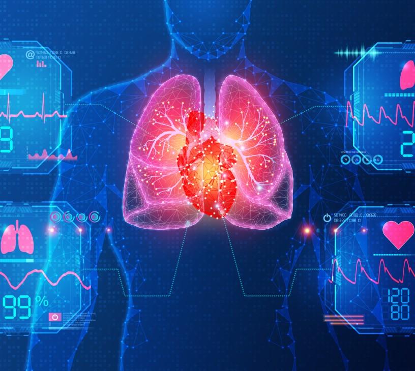 AI In Cardiology Market Analysis, Size, and Forecast 2025-2029: North America (US and Canada), Europe (France, Germany, Italy, The Netherlands, and UK), APAC (China, India, and Japan), and Rest of World (ROW)