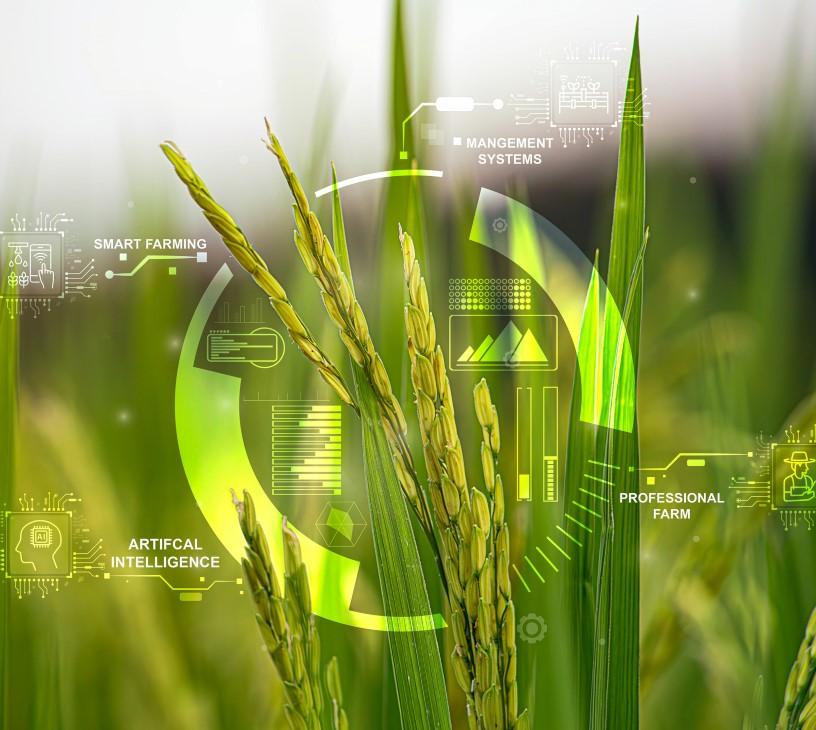 Generative AI In Agriculture Market Analysis, Size, and Forecast 2025-2029: North America (US and Canada), Europe (France, Germany, and UK), APAC (China, India, Japan, and South Korea), South America (Brazil), and Rest of World (ROW)