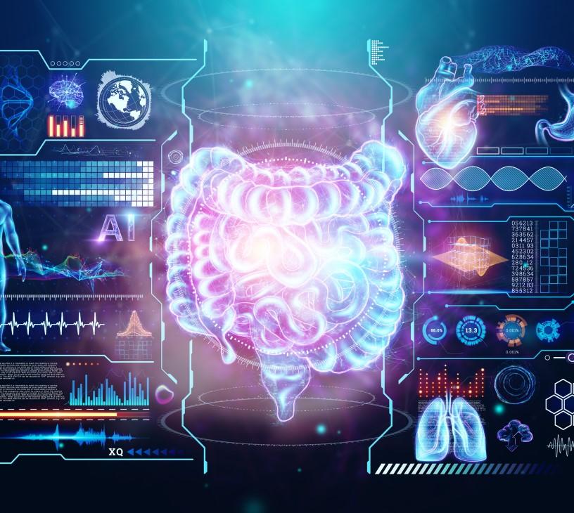 Global AI In Inflammatory Bowel Disease Market Analysis, Size, and Forecast 2025-2029: North America (US and Canada), Europe (France, Germany, and UK), APAC (Australia, China, India, and Japan), South America (Brazil), and Rest of World (ROW)