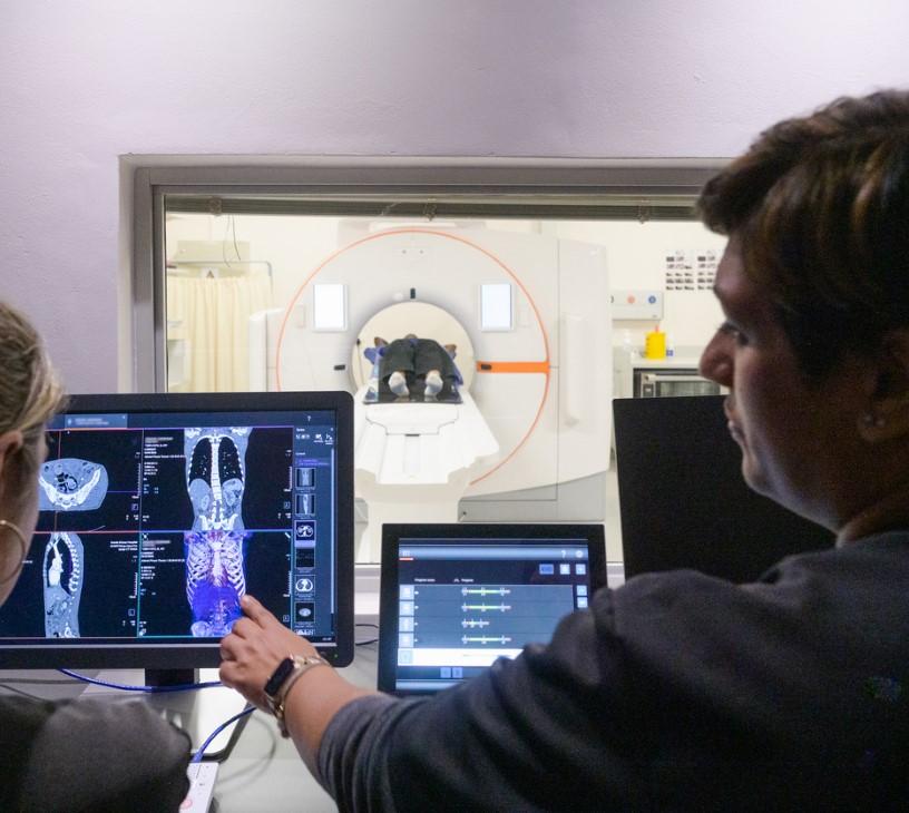 AI In Oncology For Analytical Solution Market Analysis, Size, and Forecast 2025-2029: North America (US, Canada, and Mexico), Europe (France, Germany, Italy, Spain, and UK), APAC (China and Japan), and Rest of World (ROW)