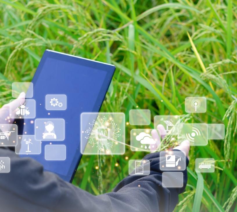 Applied AI In Agriculture Market Analysis, Size, and Forecast 2025-2029: North America (US and Canada), Europe (France, Germany, The Netherlands, and UK), APAC (Australia, China, and India), South America (Brazil), and Rest of World (ROW)