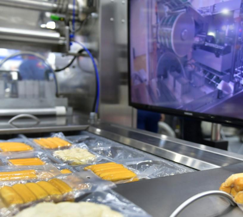 AI In Food Processing Market Analysis, Size, and Forecast 2025-2029: North America (US and Canada), Europe (France, Germany, Italy, and UK), APAC (China, India, Japan, and South Korea), and Rest of World (ROW)