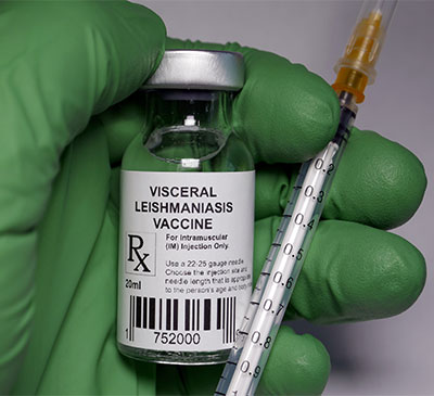 Leishmaniasis - A Pipeline Analysis Report