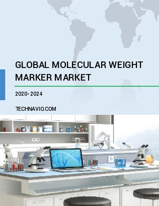 Molecular Weight Marker Market by Product and Geography - Forecast and Analysis 2020-2024