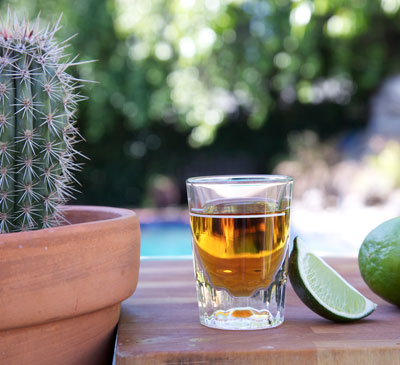 Tequila Market 2017-2021