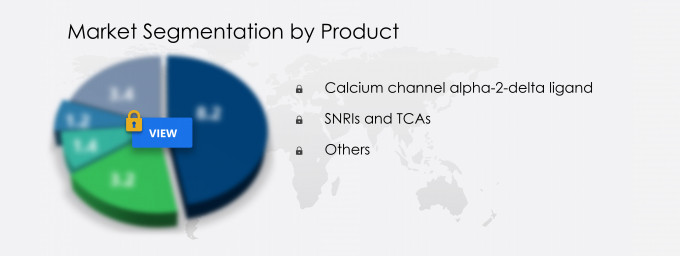 Diabetic Neuropathy Drugs Market Segmentation