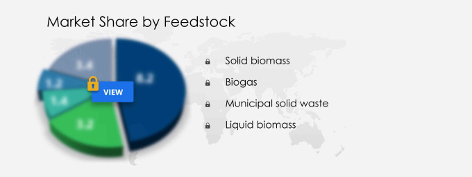 Biomass Power Generation Market Segmentation
