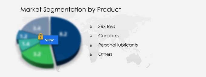 Adult Stores Market Segmentation