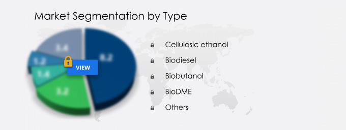 Advanced Biofuel Market Segmentation