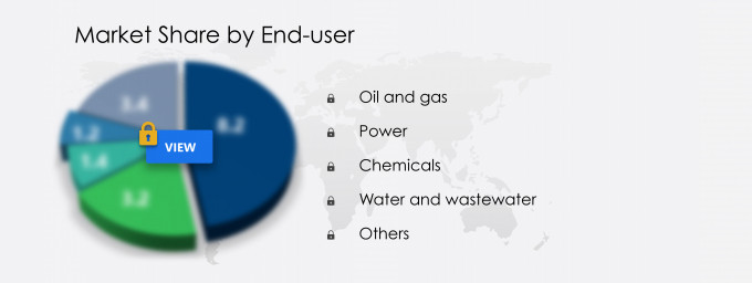 Industry Check Valves Market Share