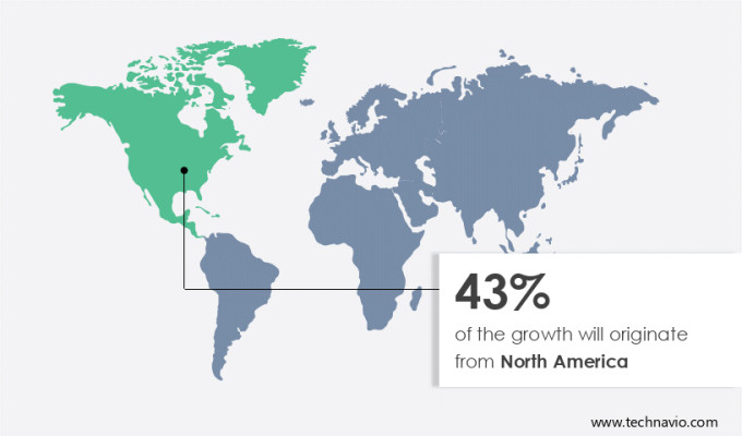Gluten-free Chocolate Market Share by Geography