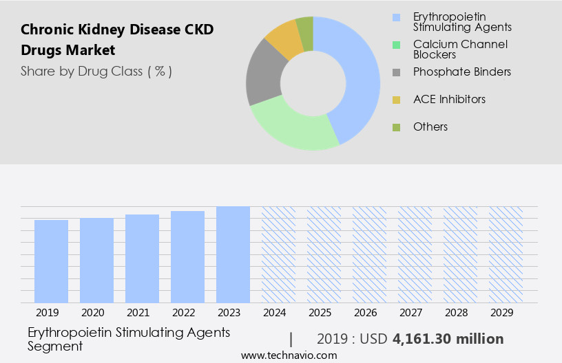 Chronic Kidney Disease (CKD) Drugs Market Size