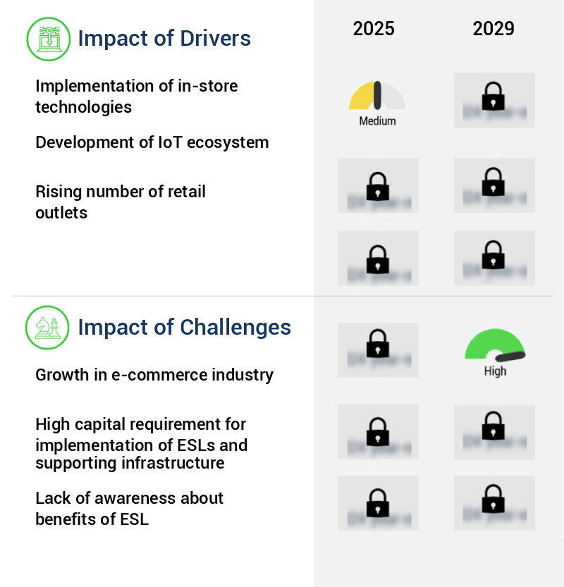 Electronic Shelf Label (ESLs) Market Size