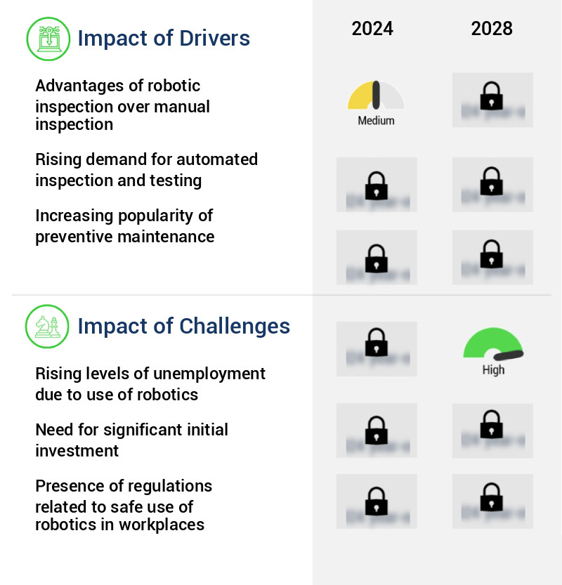 Inspection Robots Market Size