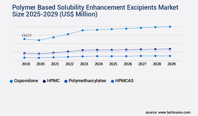 Polymer Based Solubility Enhancement Excipients Market Size