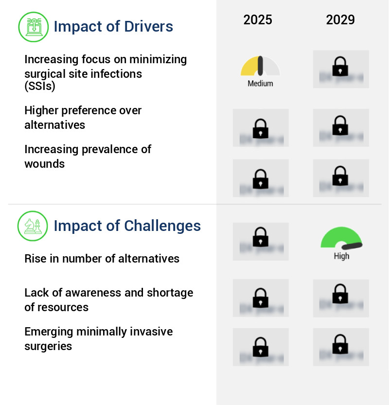 Wound Closure Strips Market Size