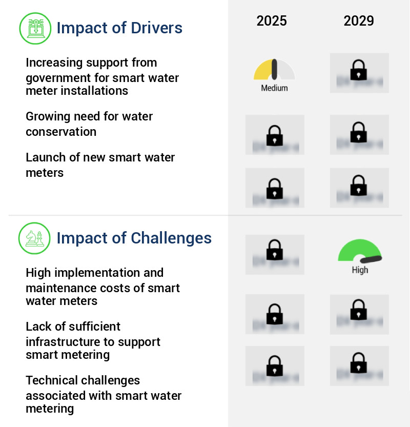 Smart Water Meter Market Size