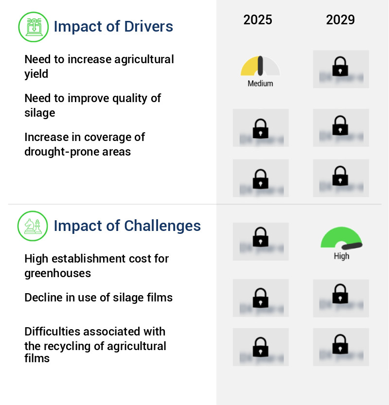 Agricultural Films Market Size