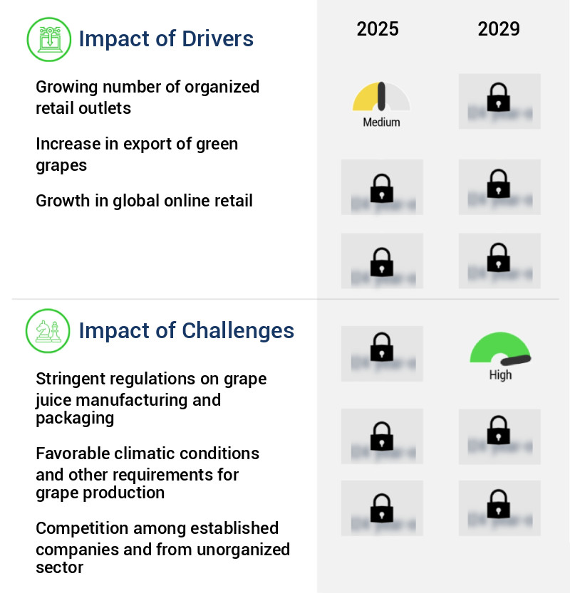 Grape Juice Market Size