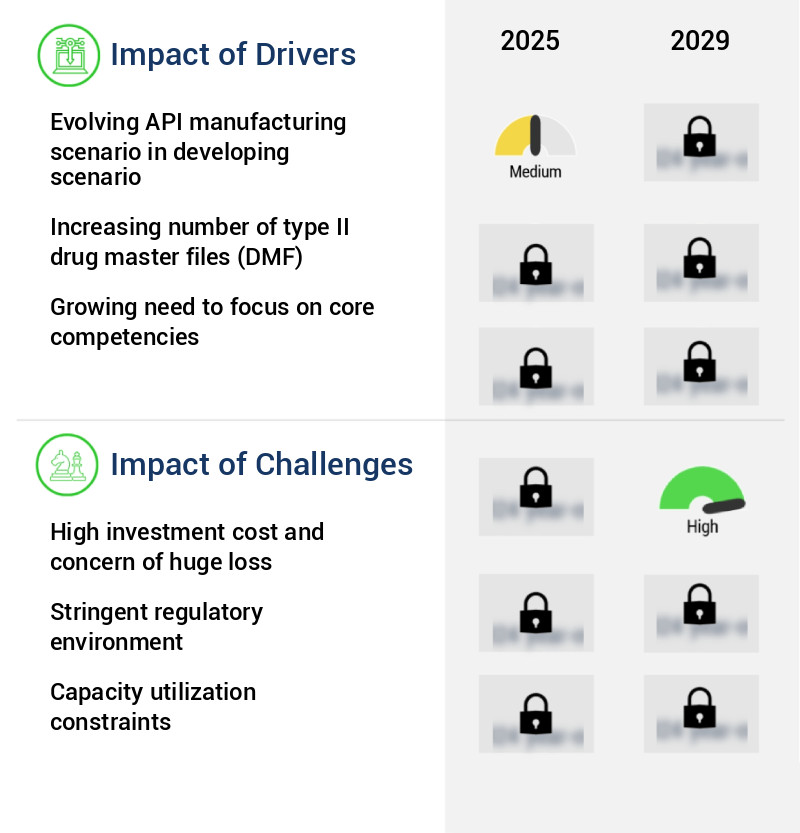 Active Pharmaceutical Ingredients Market Size