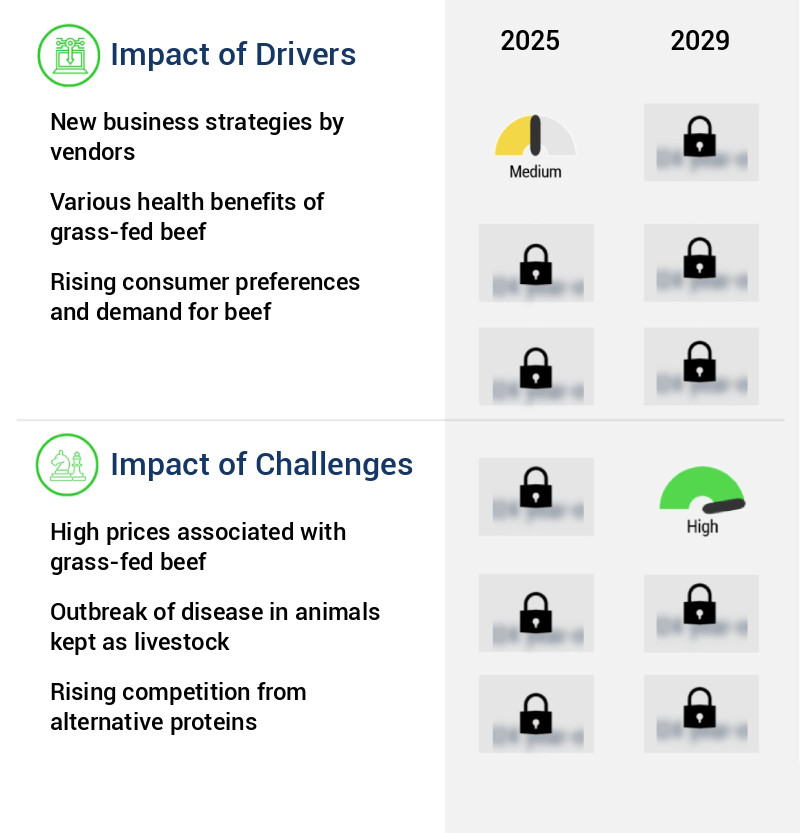 Grass-Fed Beef Market Size