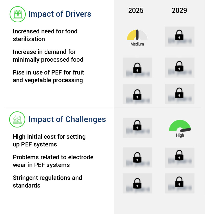 Food Industry Pulsed Electric Field (PEF) Systems Market Size