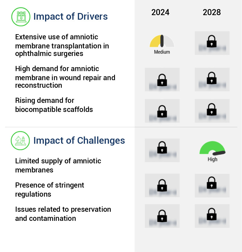 Amniotic Membrane Market Size