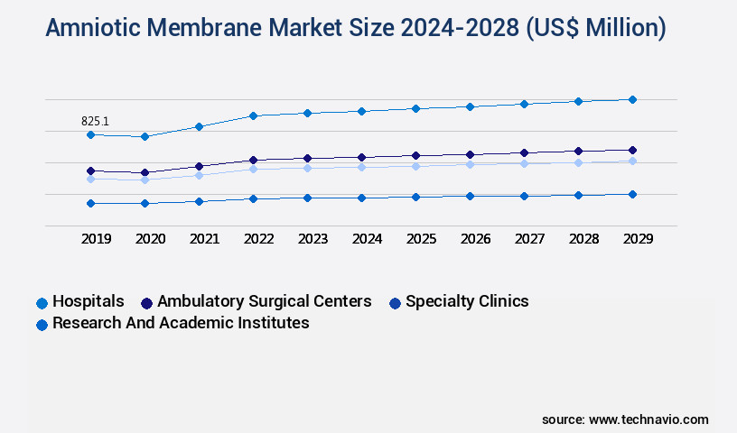 Amniotic Membrane Market Size