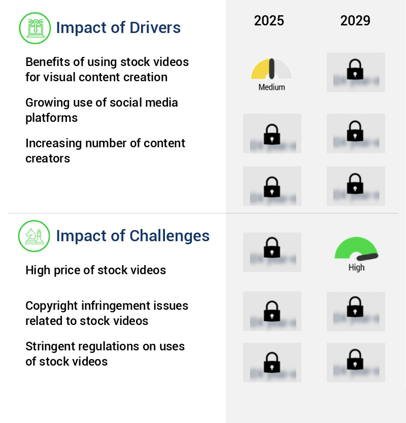 Stock Video Market Size