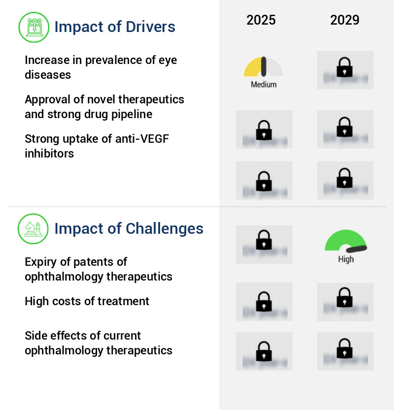 Ophthalmology Therapeutics Market Size