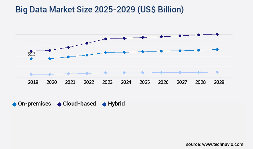 Big Data Market Size