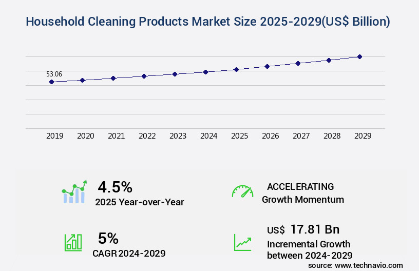 Household Cleaning Products Market Size