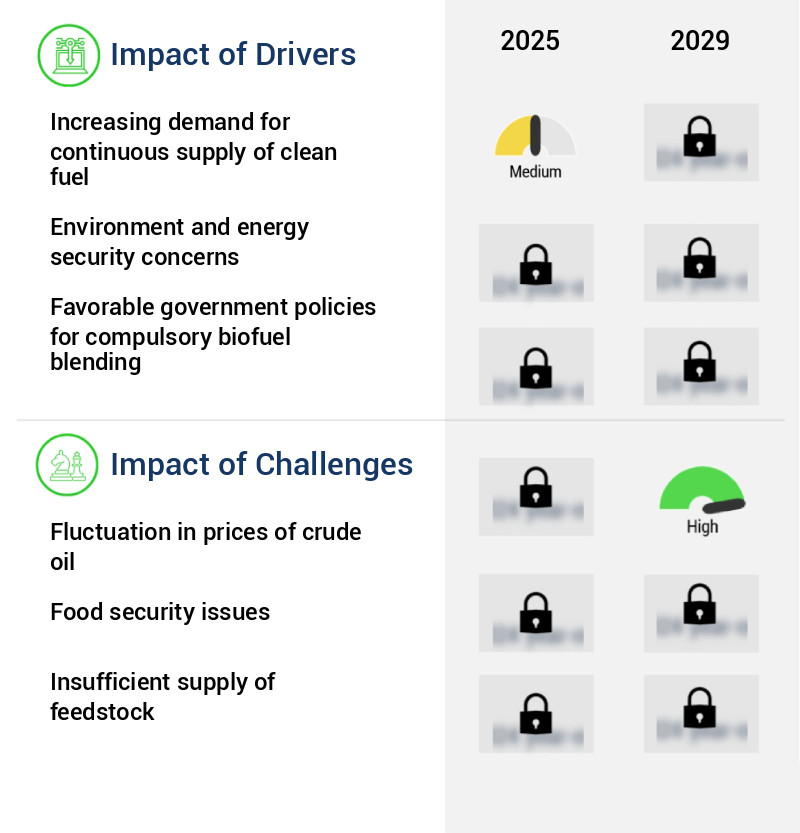 Bioethanol Market Size