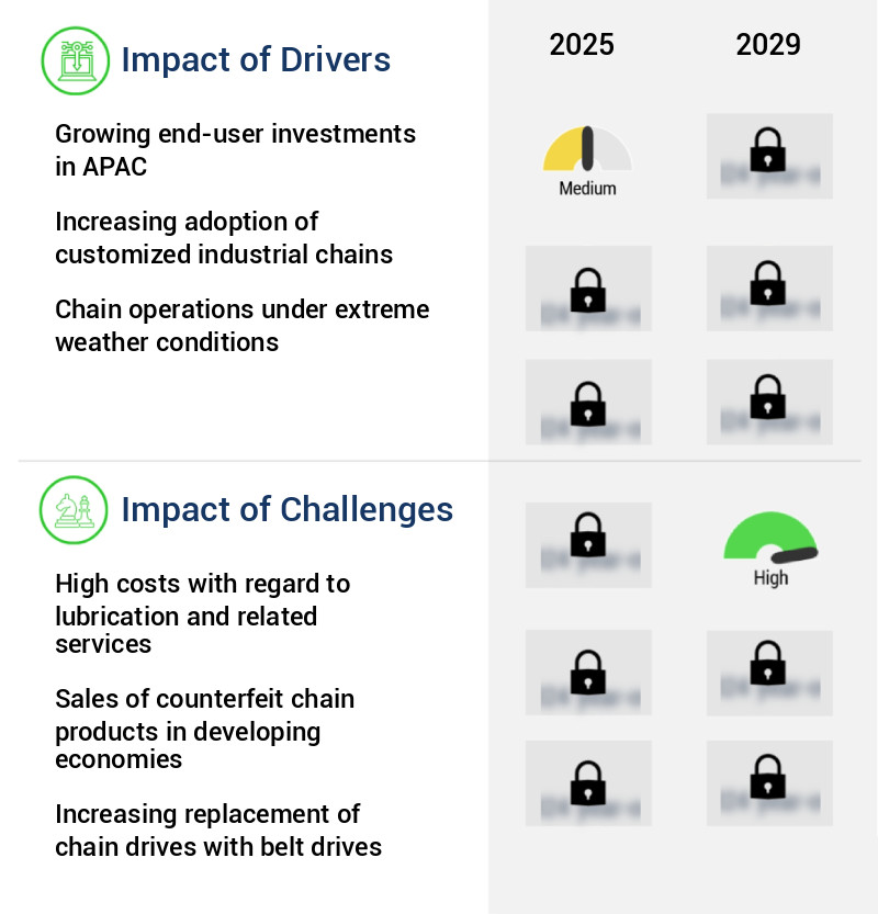 Industrial Chain Drives Market Size
