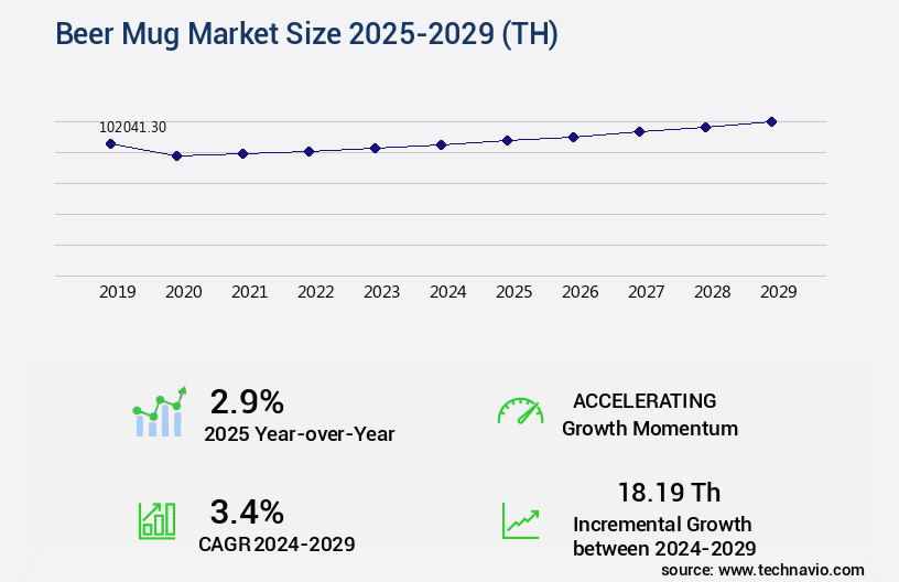Beer Mug Market Size