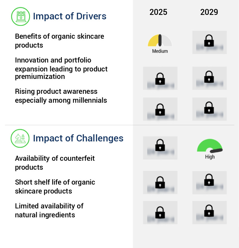 Organic Skincare Products Market Size