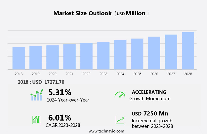 Stain Remover Market Size