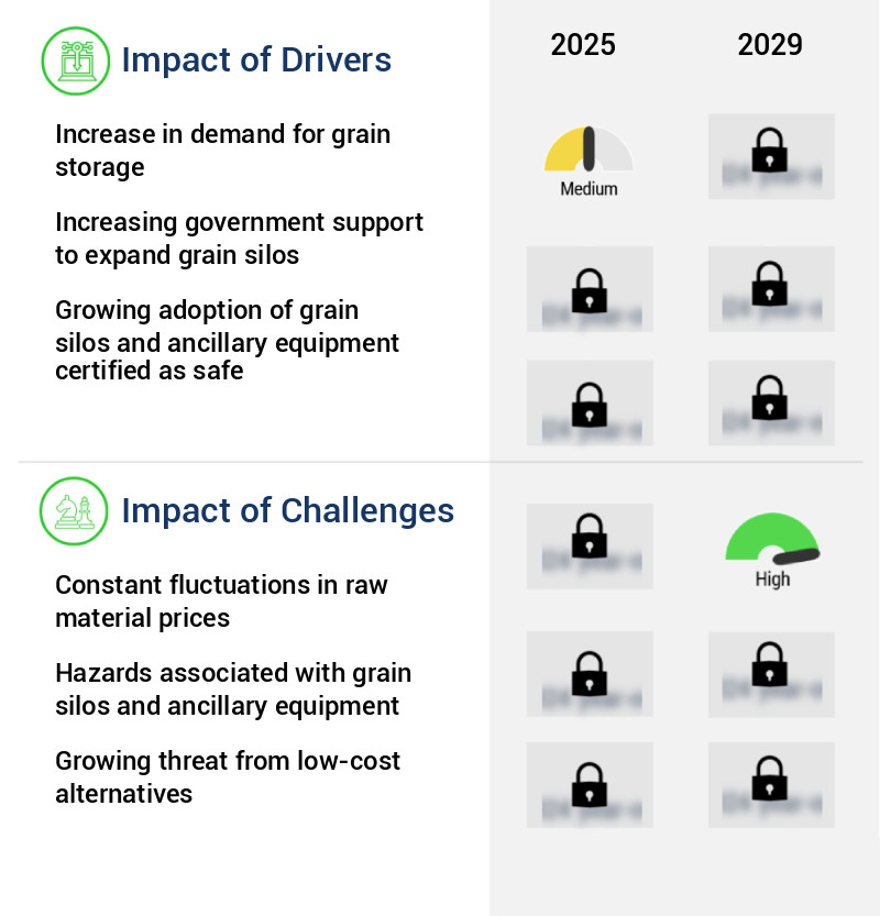 Grain Silos And Ancillary Equipment Market Size