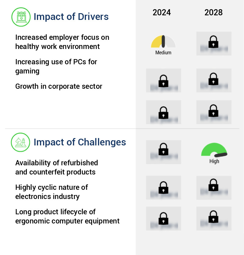 Ergonomic Computer Equipment Market Size